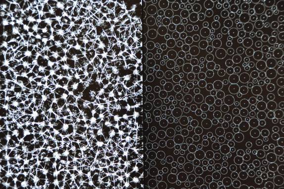 O MOMA, Museu de Arte Moderna, em San Francisco, na Califórnia, nos Estados Unidos